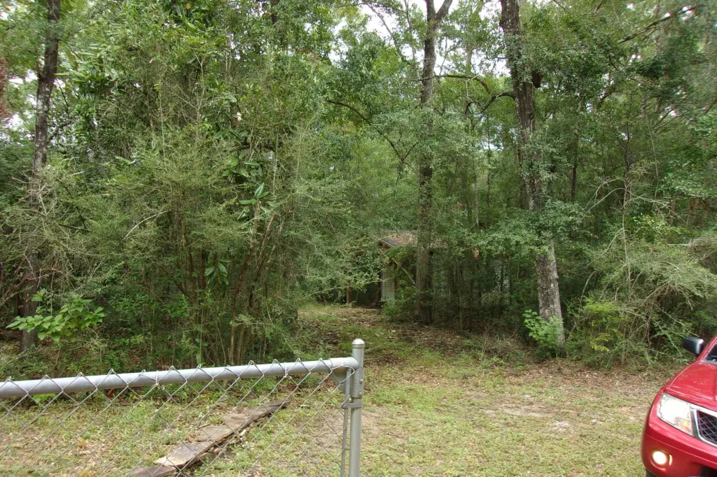 Picture 11