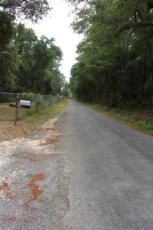 Picture 16