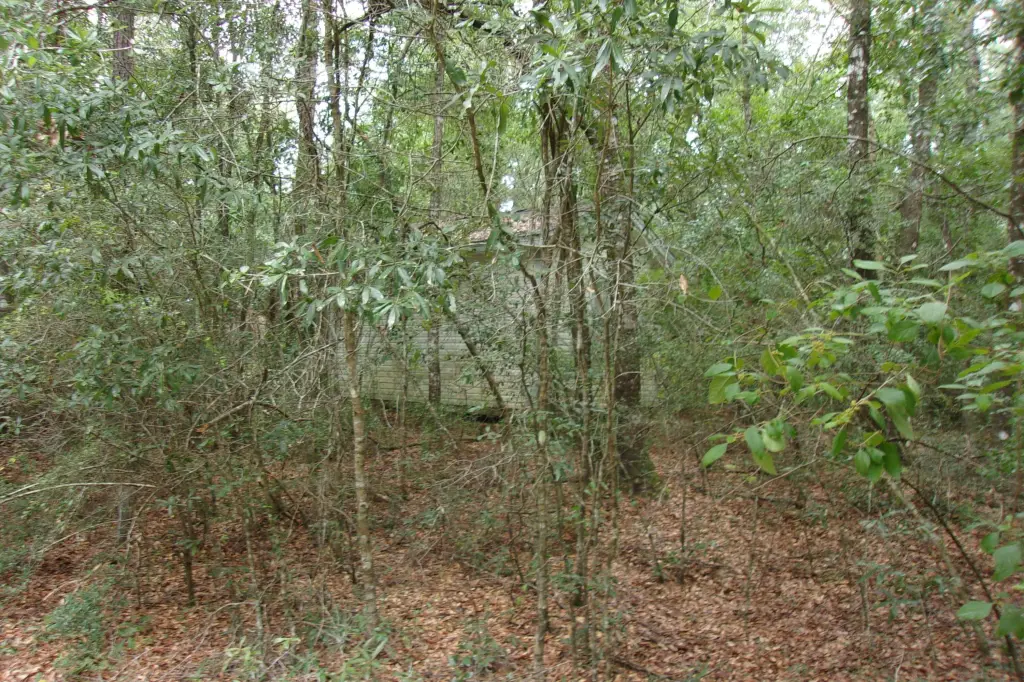 Picture 6