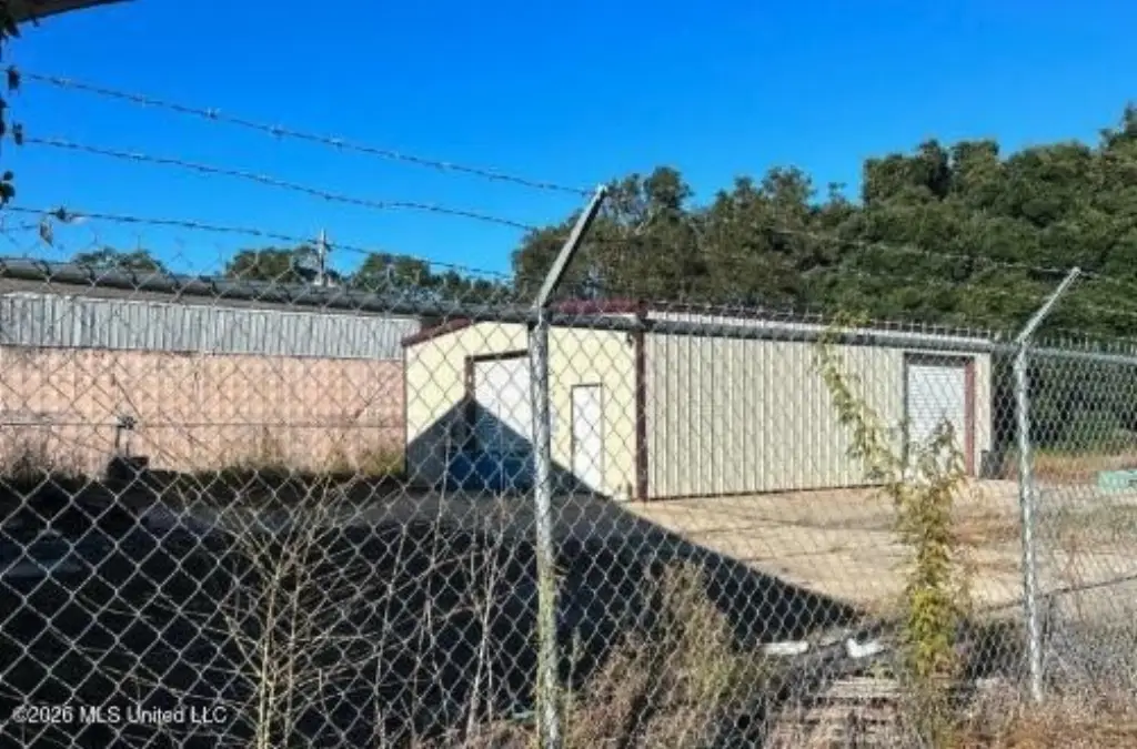 Picture 6