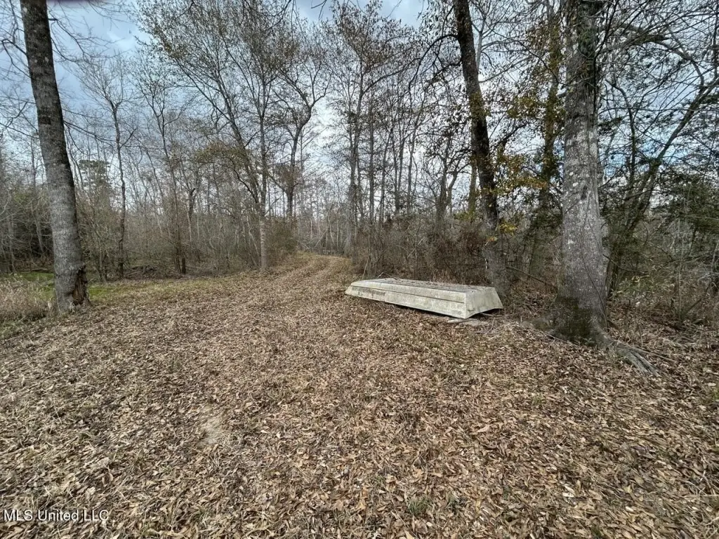 Picture 35