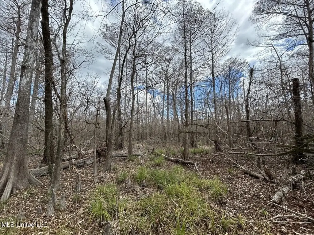 Picture 23