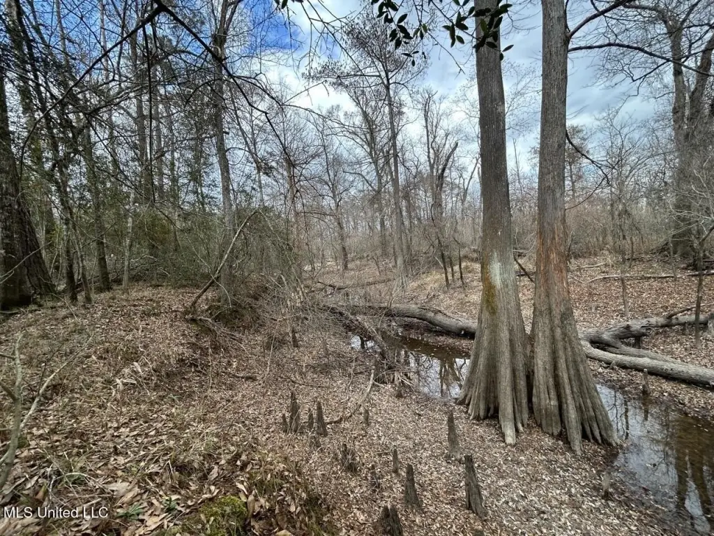 Picture 38