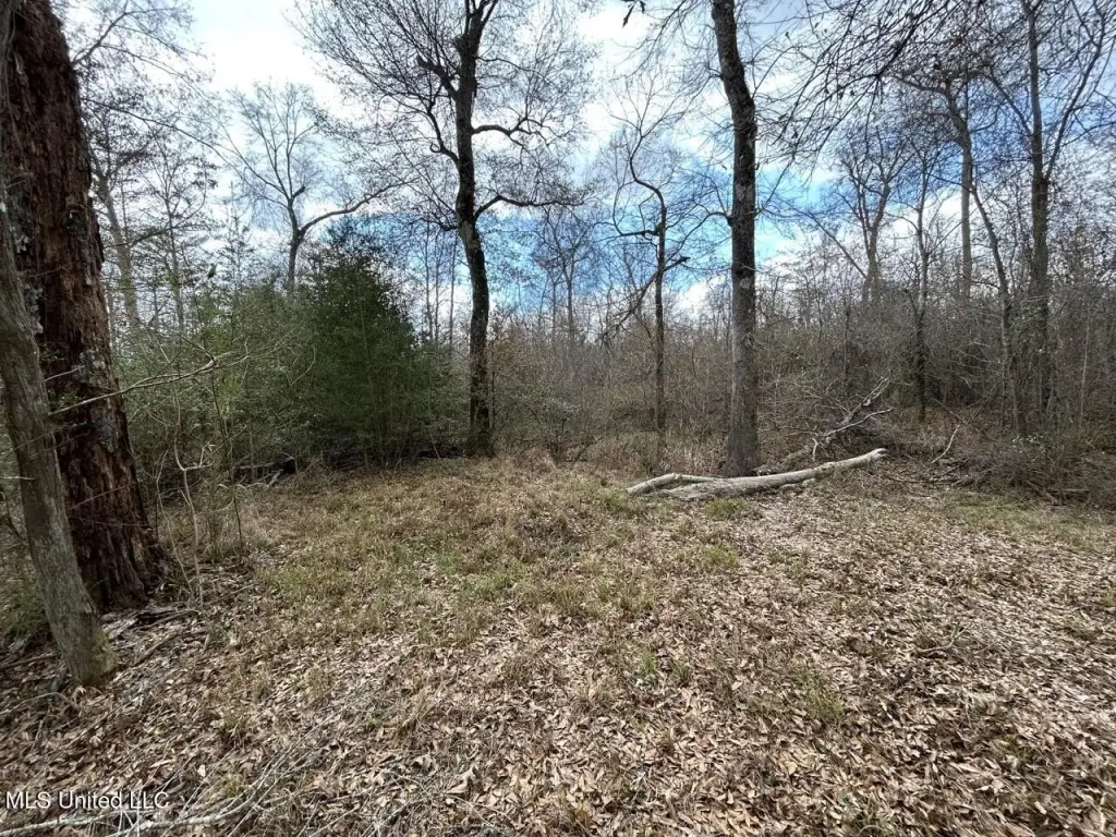 Picture 36