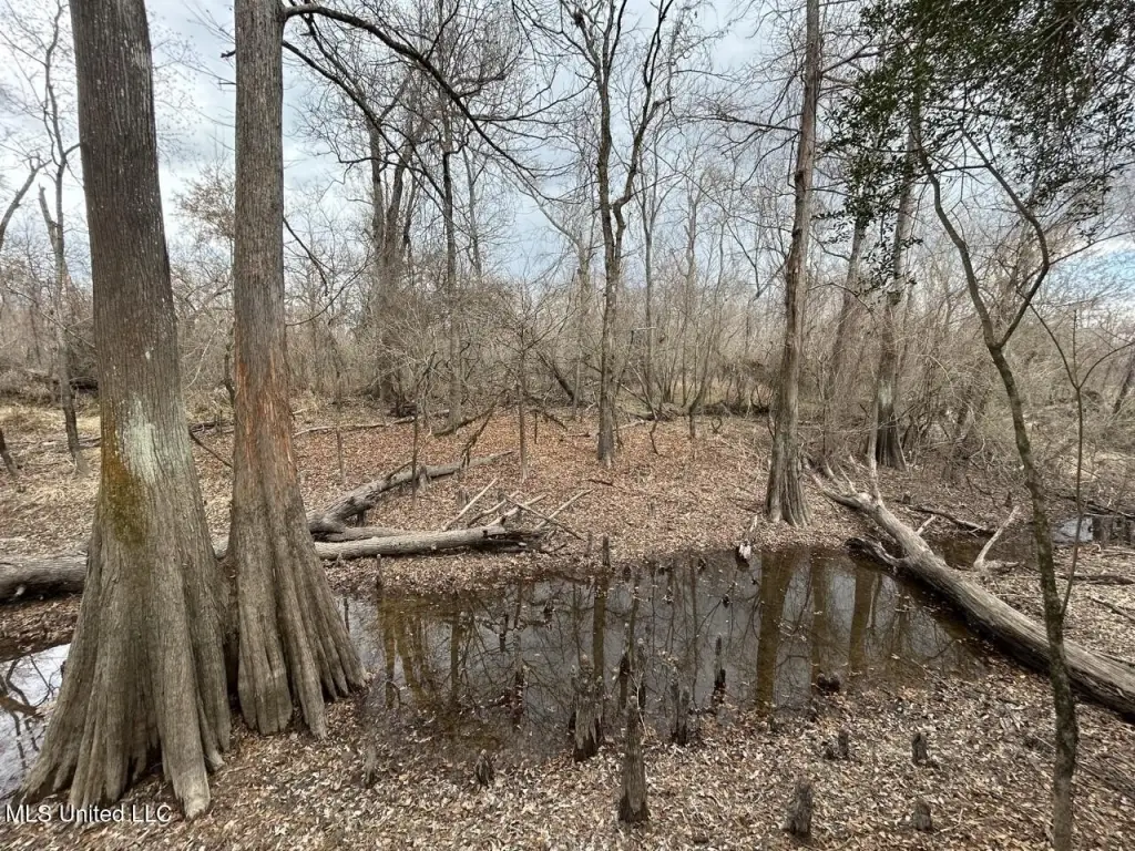 Picture 39