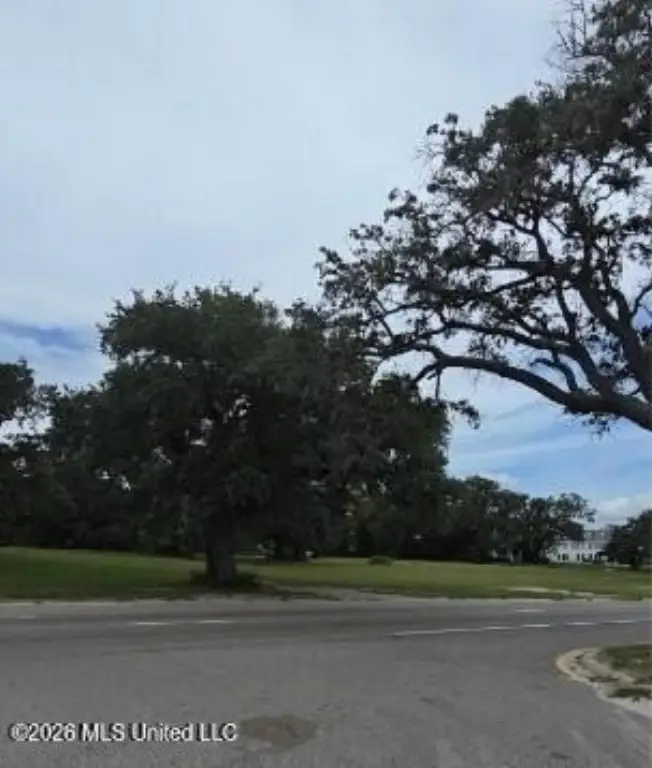 Picture 2