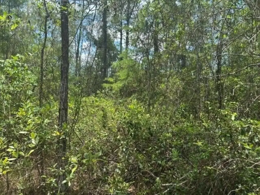 Picture 2