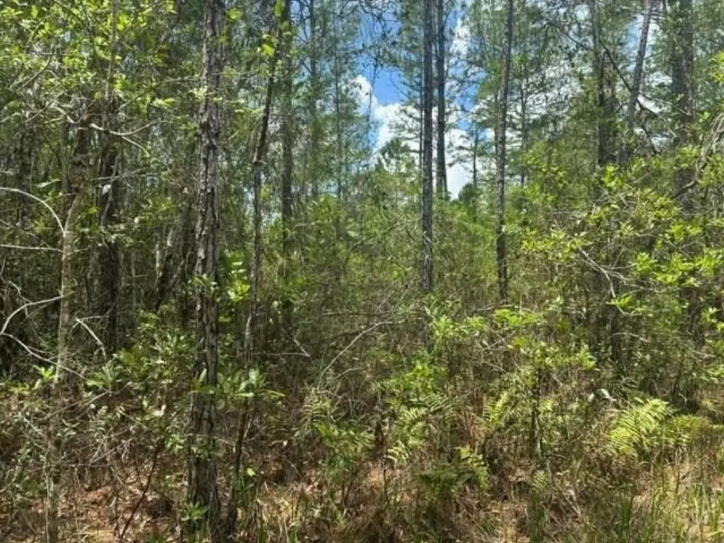 Picture 3