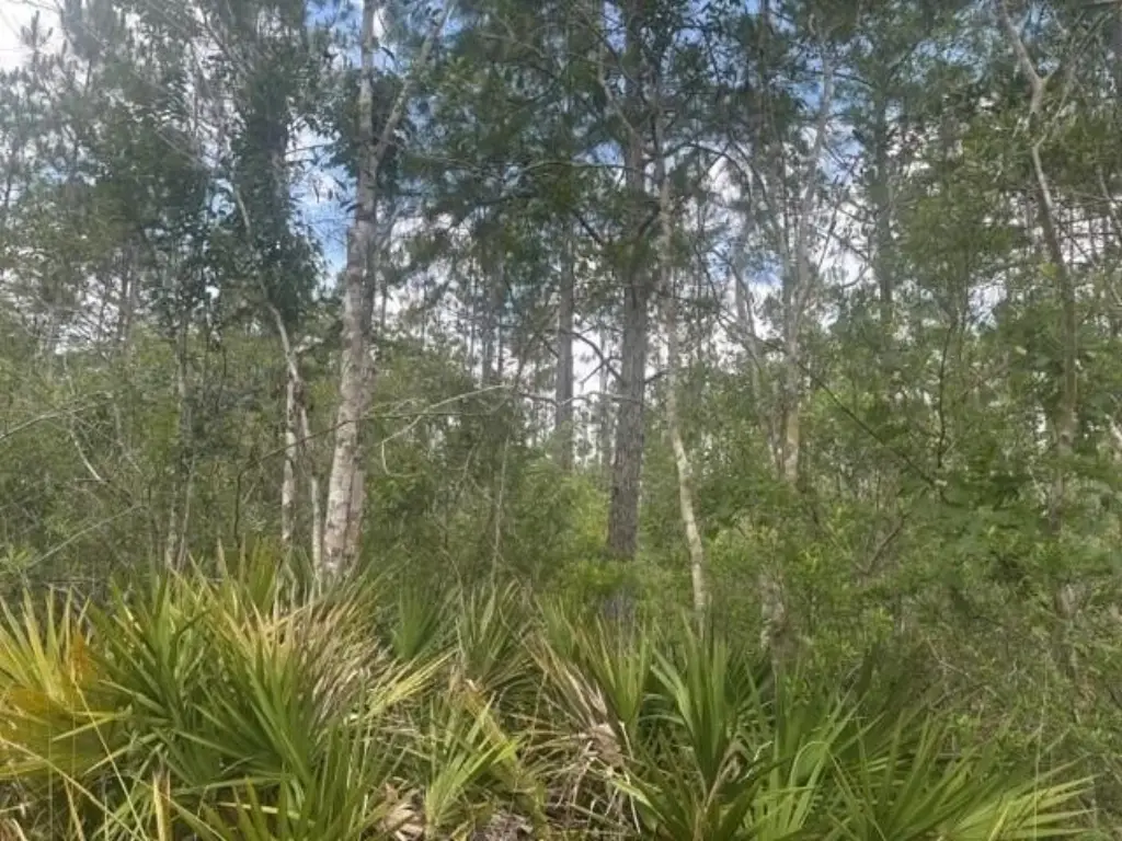 Picture 4