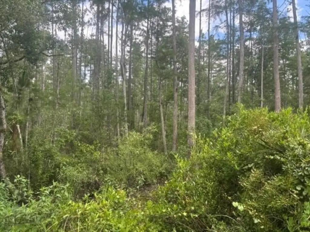 Picture 2
