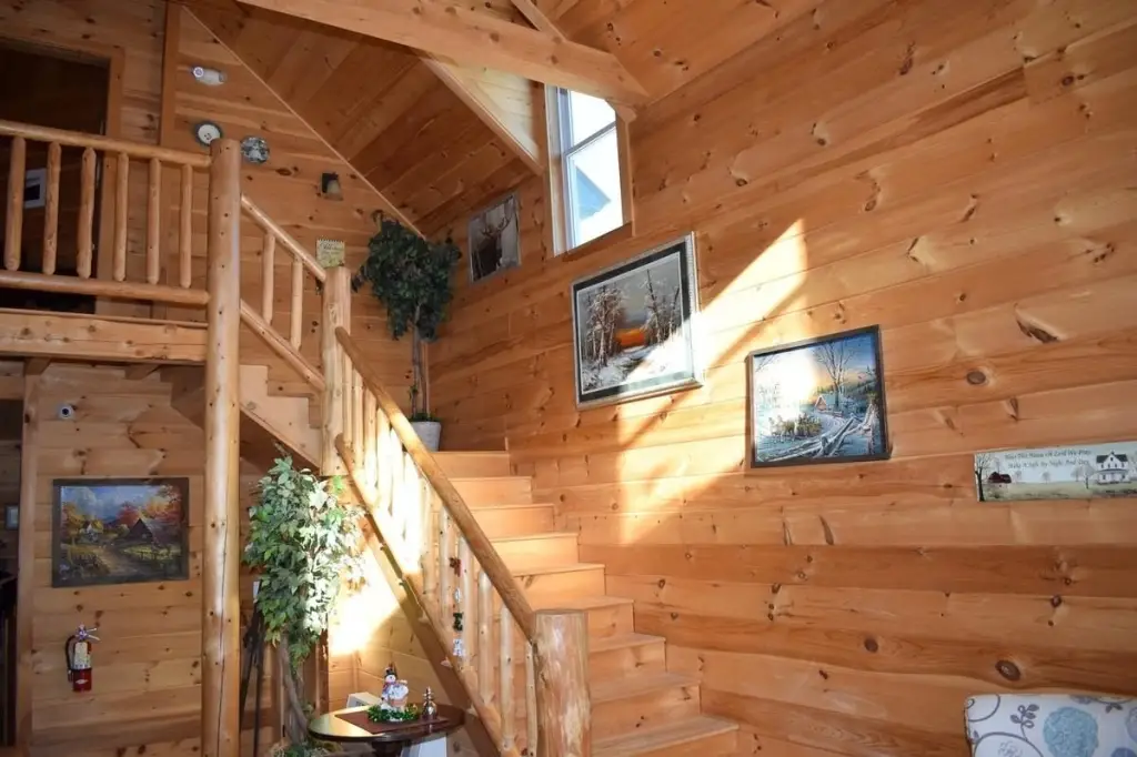 Picture 7