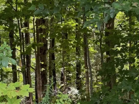 Albany VT Land For Sale