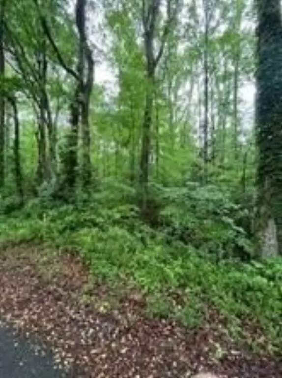 Picture 11
