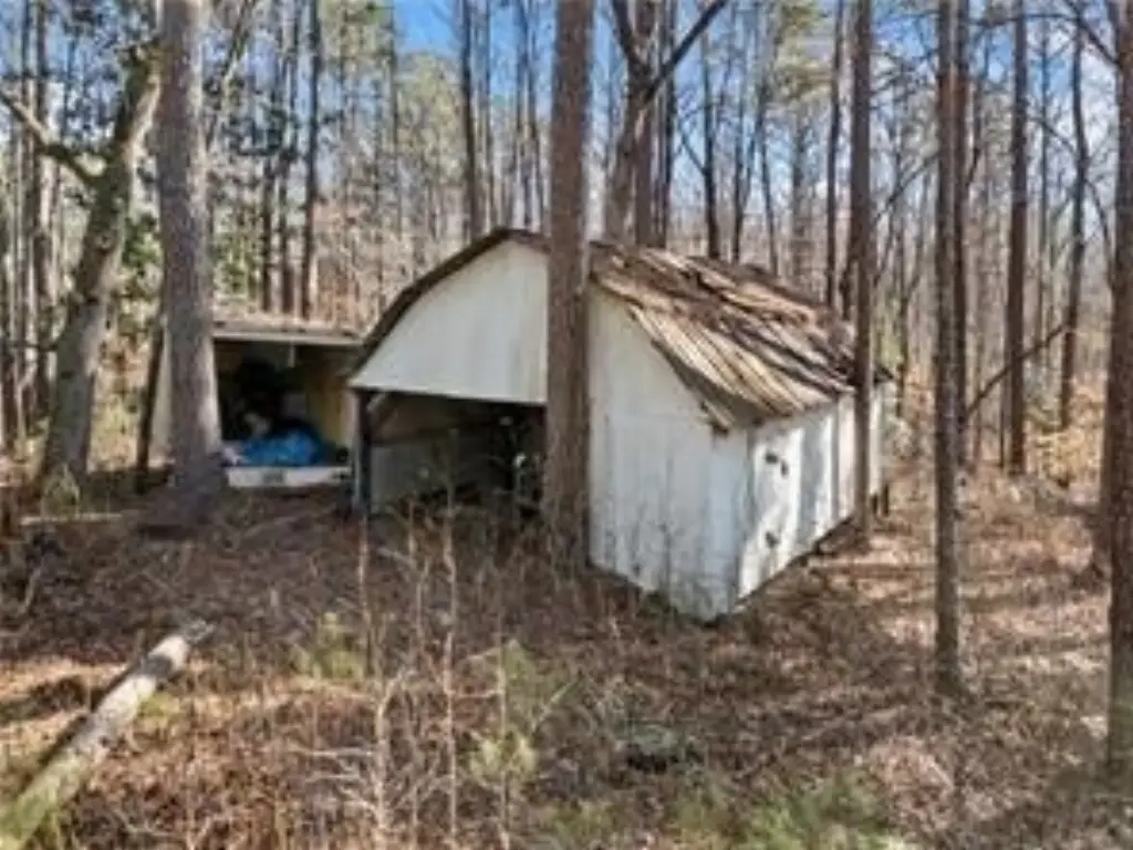 Picture 5