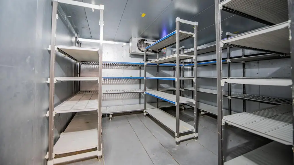 Picture 44
