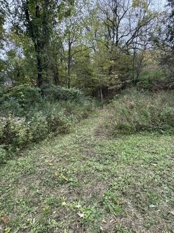 Picture 7
