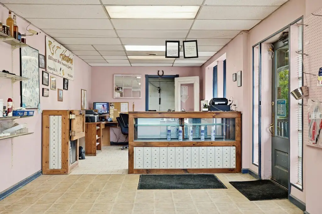 Picture 6