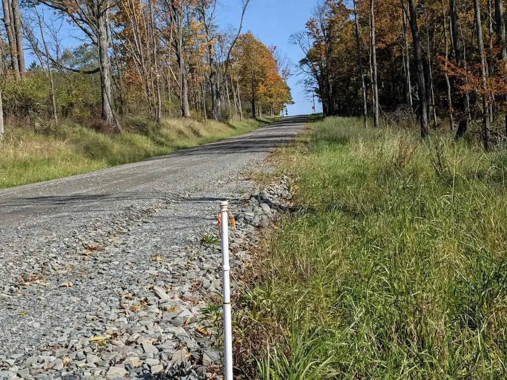 Picture 25