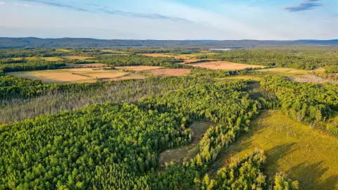 Wooded Agricultural Land