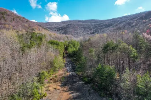 Roach Creek Mountain Recreational Land
