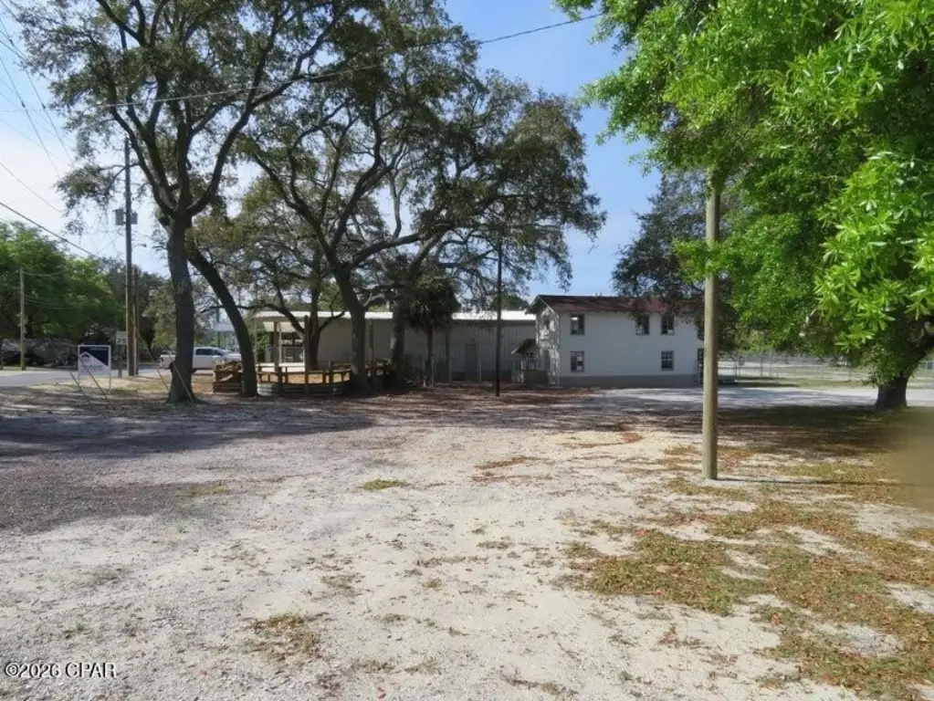 Picture 19