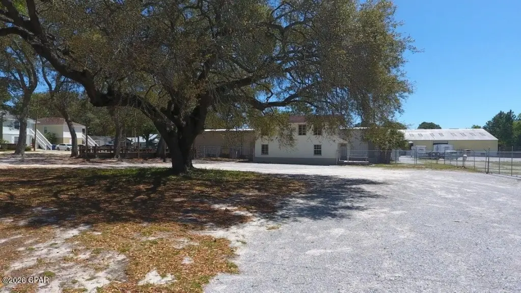 Picture 16