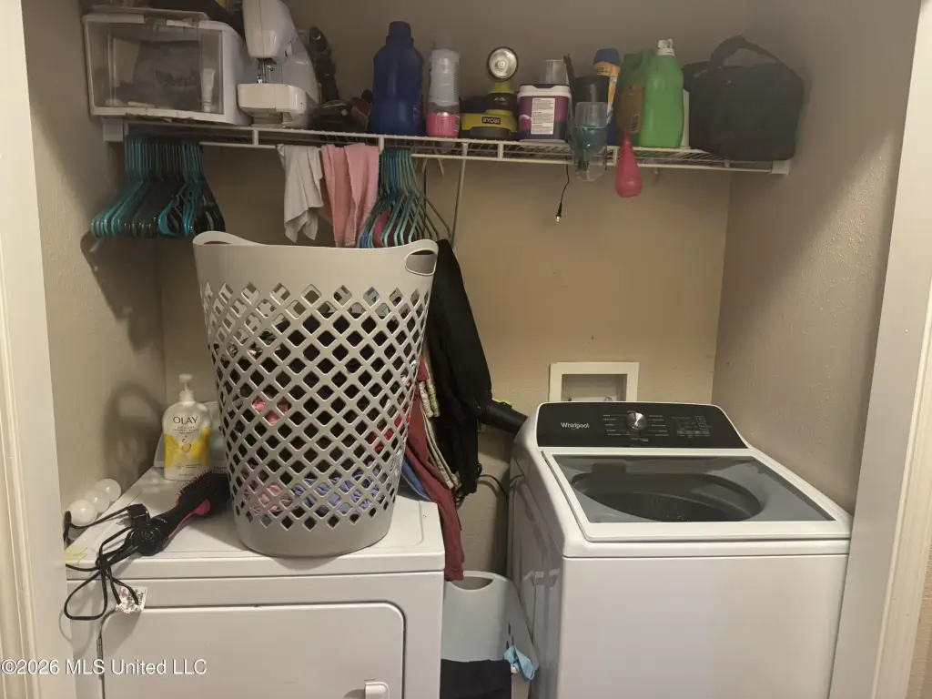 Picture 27