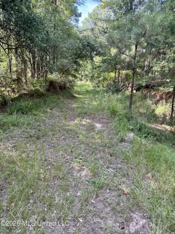 Picture 2