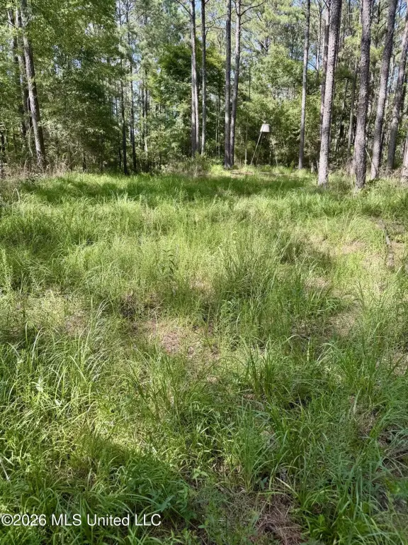 Picture 3