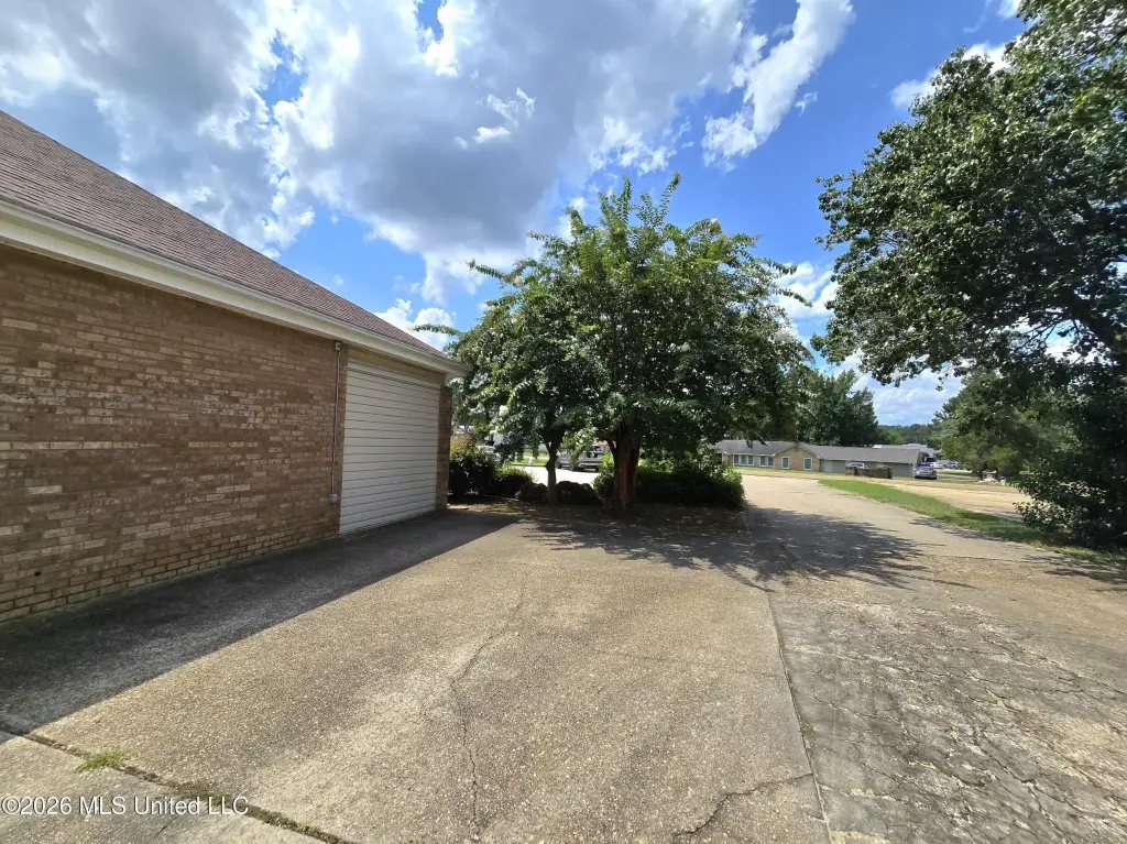 Picture 20