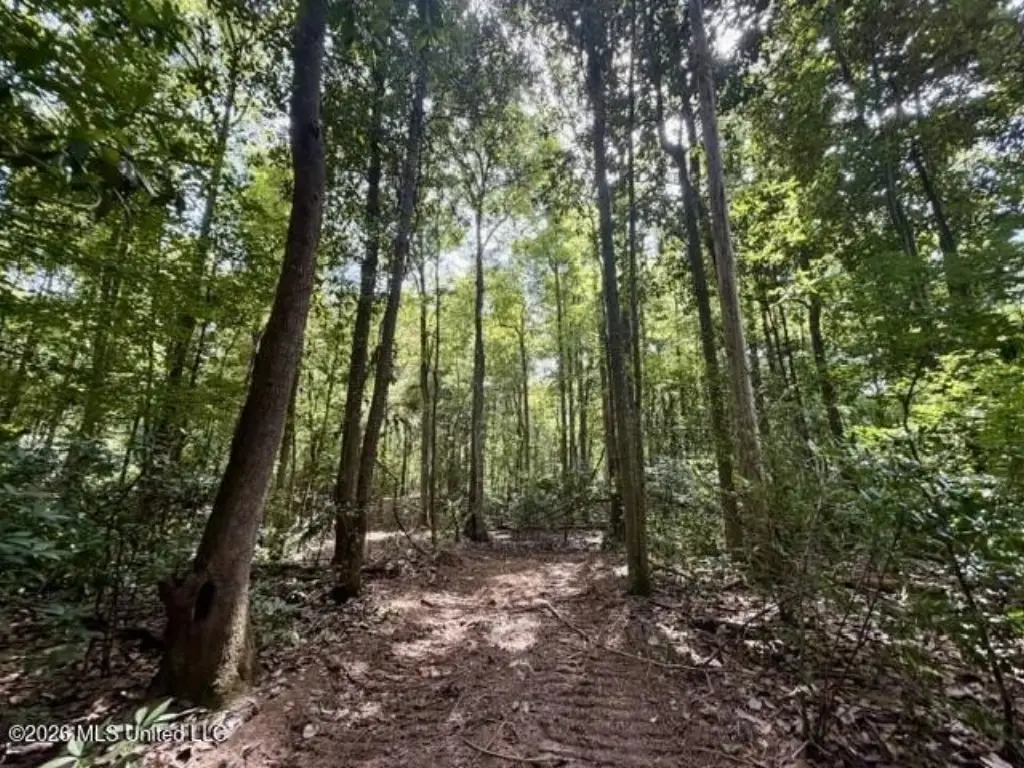 Picture 30