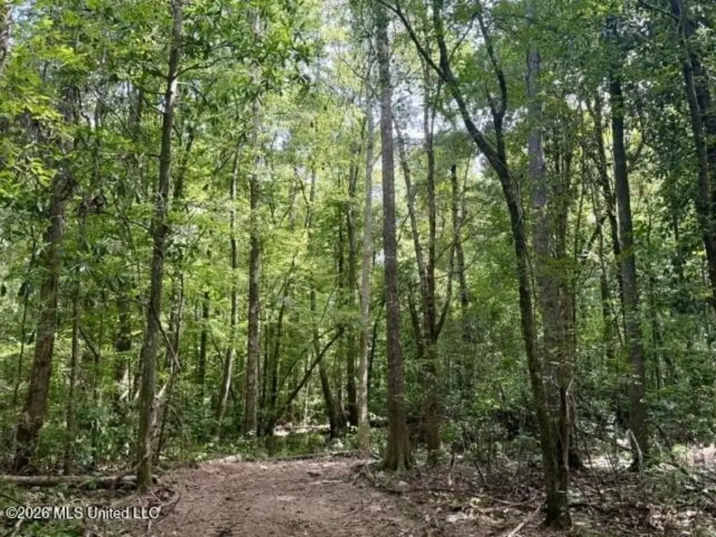 Picture 29