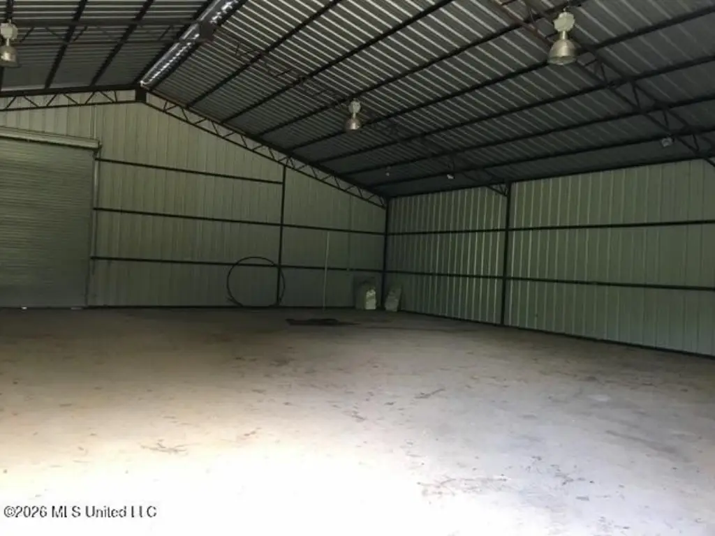 Picture 5
