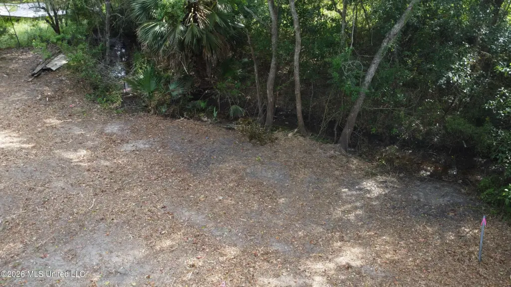 Picture 19