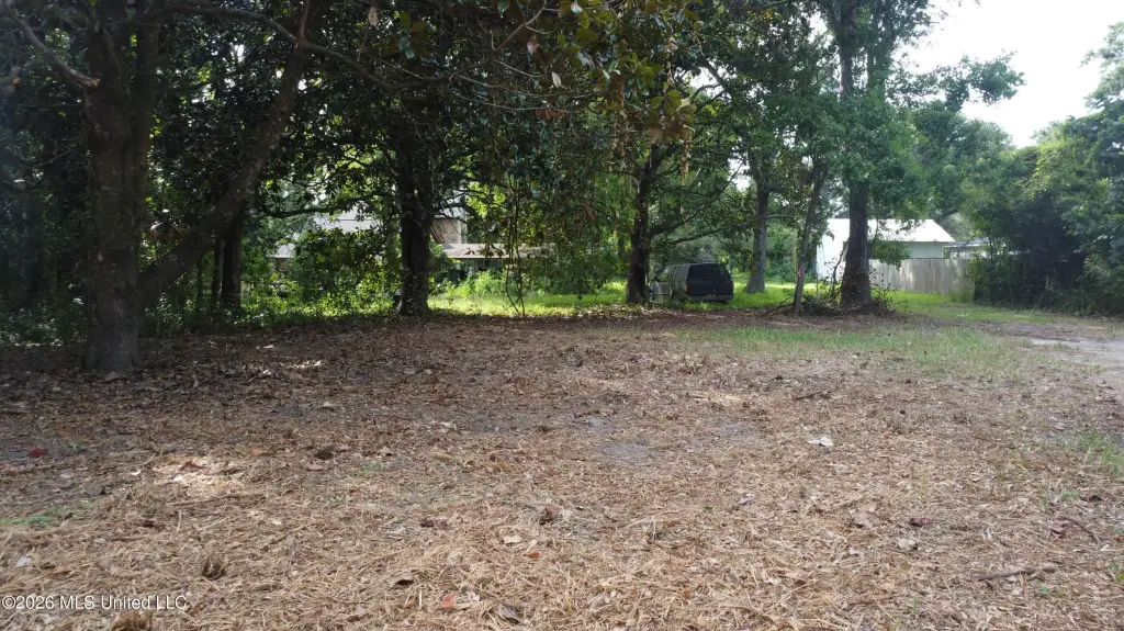 Picture 16