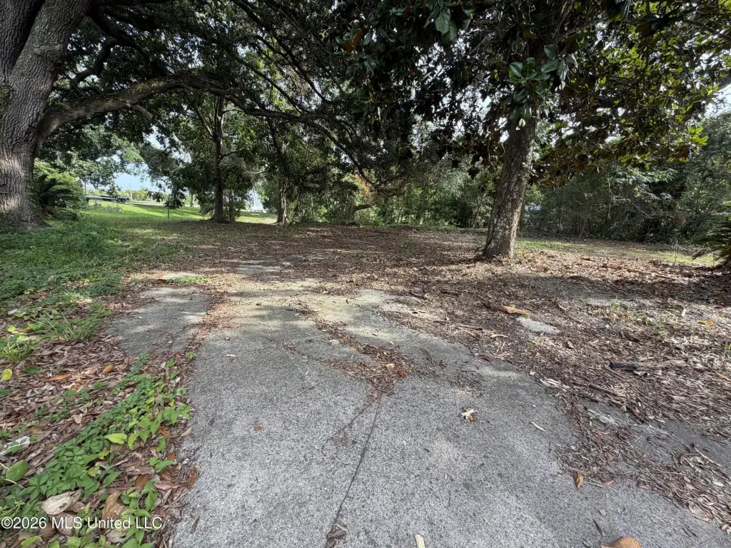 Picture 37