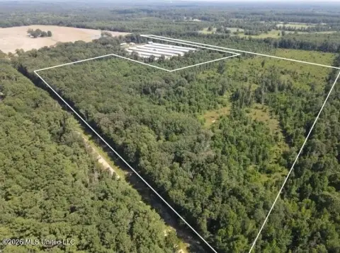 Wooded Hunting Land with Road Access