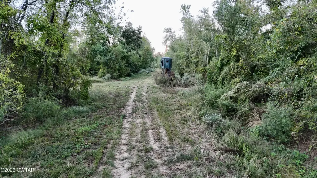Picture 35
