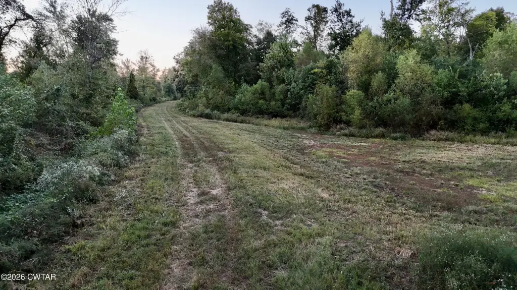 Picture 40
