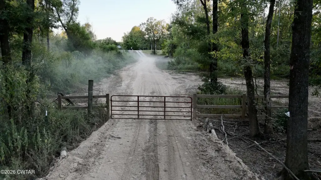 Picture 24
