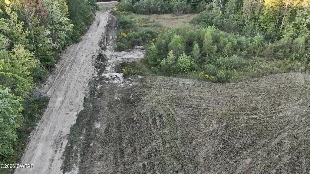 Picture 13