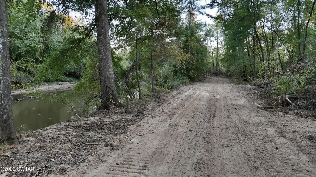 Picture 31