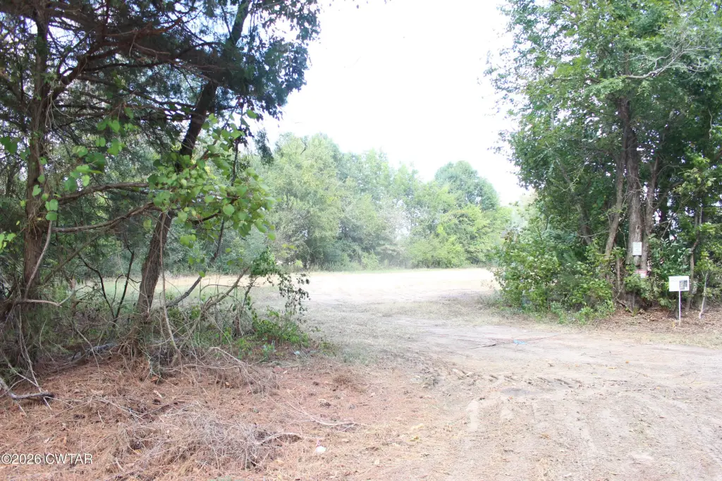 Picture 6