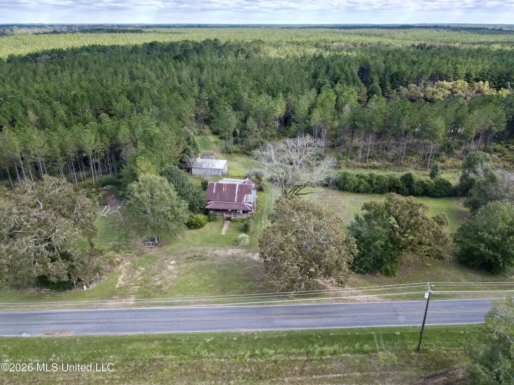 Picture 11