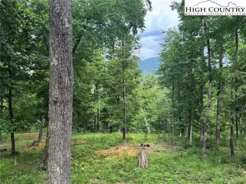 Land Near Downtown West Jefferson