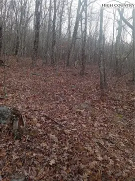 Whitetop, VA Hunting Land