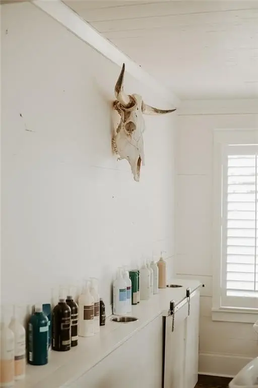 Picture 21