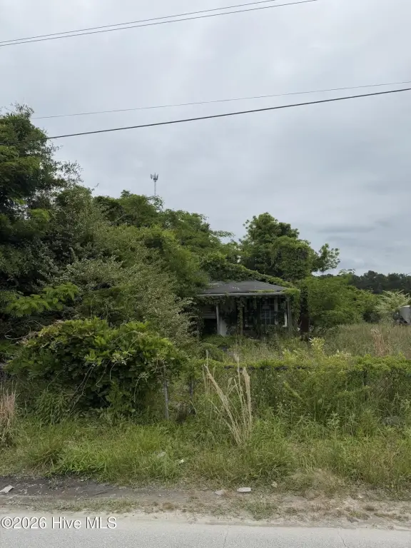 Picture 5
