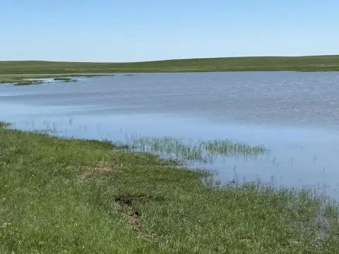 Newell Ranch with Highway Frontage