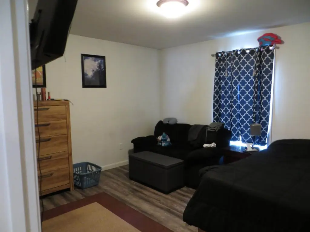 Picture 5